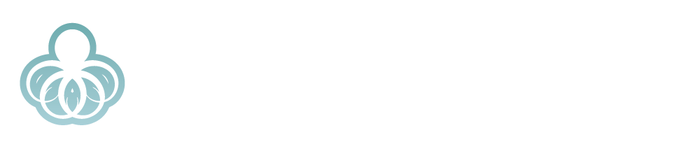 Octopus Promotions